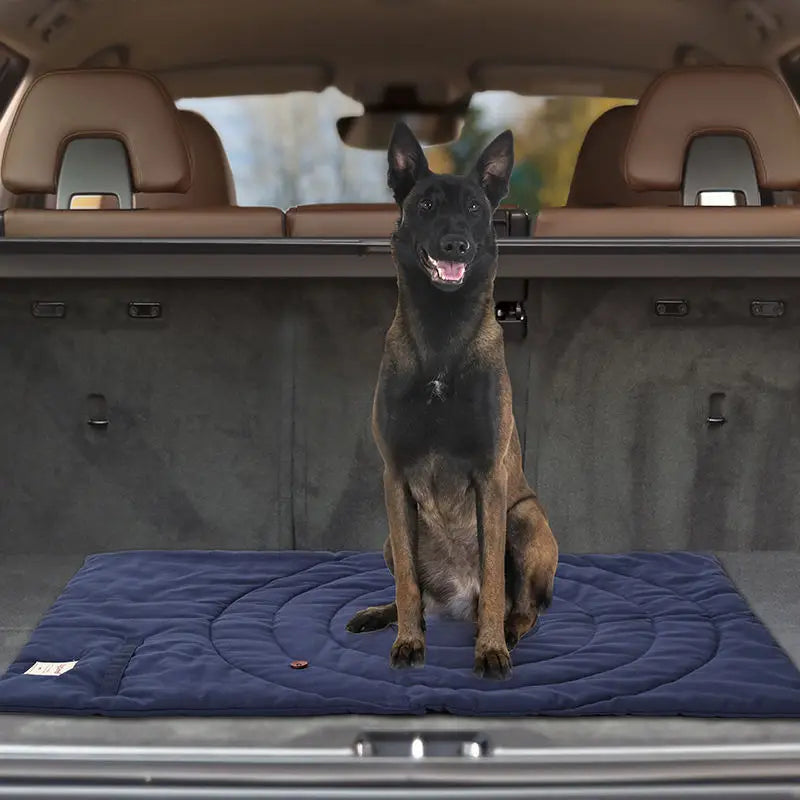 Foldable Portable Pet Mat with Storage Bag - Waterproof and Easy to Clean