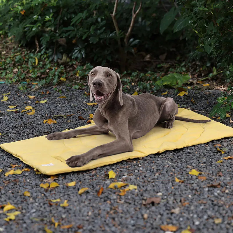 Foldable Portable Pet Mat with Storage Bag - Waterproof and Easy to Clean