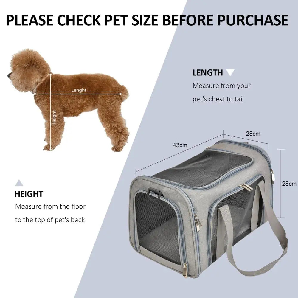 Soft-Sided Pet Carrier Backpack - Airline Approved