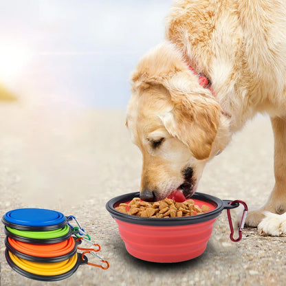 Collapsible Pet Travel Bowl - 350ml