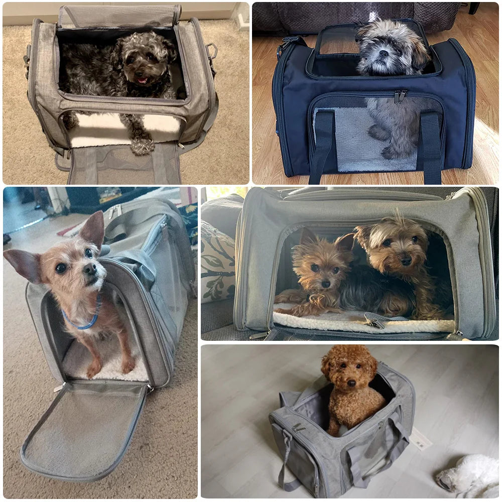 Soft-Sided Pet Carrier Backpack - Airline Approved