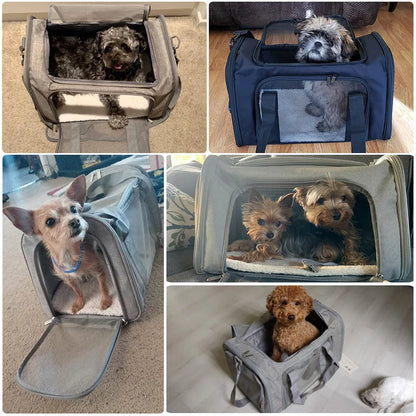 Soft-Sided Pet Carrier Backpack - Airline Approved